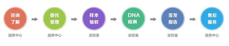 西藏隐私亲子鉴定流程